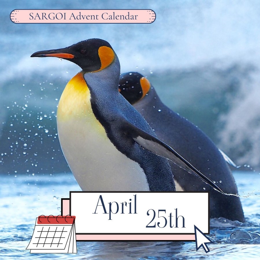 Penguin Day
